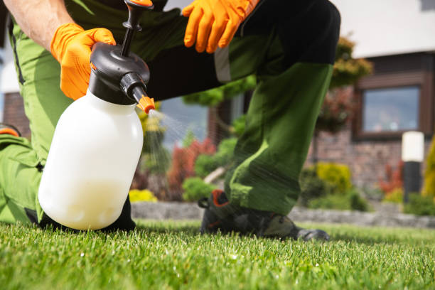 Best Mosquito Control Services  in Rancho Tehama Reserve, CA