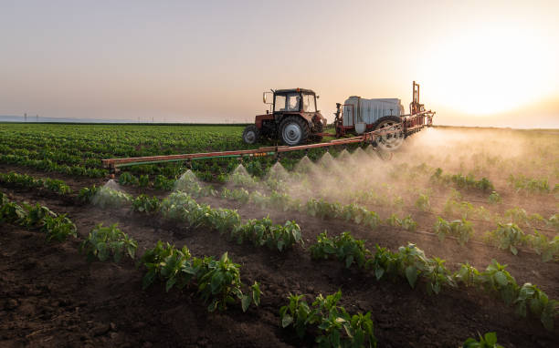 Best Local Pest Control Services  in Rancho Tehama Reserve, CA