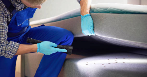 Trusted Rancho Tehama Reserve, CA Pest Control Experts