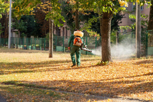 Pest Prevention Services in Rancho Tehama Reserve, CA