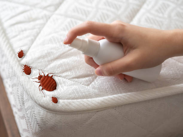 Best Affordable Pest Control Services  in Rancho Tehama Reserve, CA
