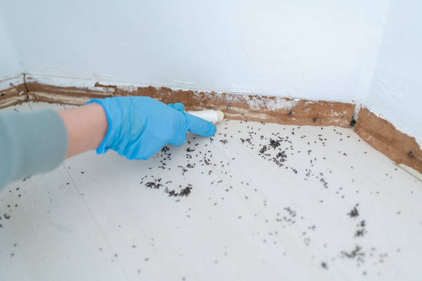 Best Pest Inspection Near Me  in Rancho Tehama Reserve, CA